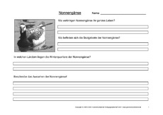 Arbeitsblatt-Nonnengänse-1.pdf
